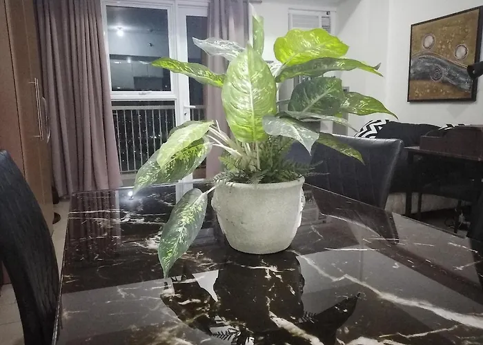 Venice Mall Area Mckinley Hills Taguig Apartment *